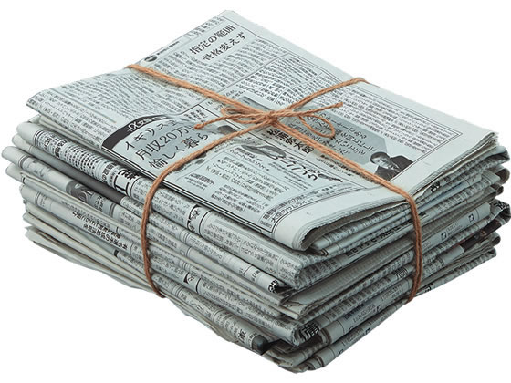 �ڳ�ŷ�����ѡ�SALE������ݥ����2�ܡ�2,000�ߥ����ݥ�ۥ����� ��ɳ 2mm��520m�� �ۥ�-31 ��ɳ �̤Ҥ� ��¤��ɳ ������ ����