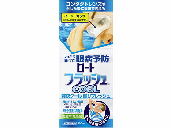 【第3類医薬品】薬)ロート製薬 ロートフラッシュクール 500ml 洗眼液 洗眼 目の薬 医薬品