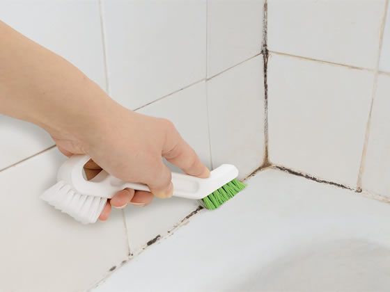 �ڥ�ӥ塼��Ƥ�100��OFF�����ݥ�ۥ�å� ��������� �����Ӥ��� ���ϸ���֥饷 S00116 �ǥå��֥饷 �֥饷 �ݽ�ƻ�� ���� ����