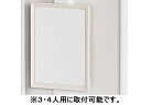 【ポイント2倍★19日20:00~26日1:59迄】【メーカー直送】FNLKシリーズ用 ミラー FNLK-OP1【代引不可】【お客様組立】 連結金具 ロッカー キャビネット オフィス家具
