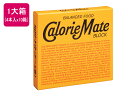 大塚製薬 カロリーメイトブロック チーズ味 (4本入り)×10箱 バランス栄養食品 栄養補助食品 栄養ドリンク 健康食品