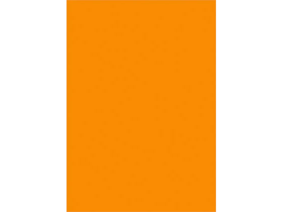 【レビュー投稿で100円OFFクーポン】【お取り寄せ】タカ印 蛍光ポスター B4 橙 10枚 13-3194 POP用紙 P..