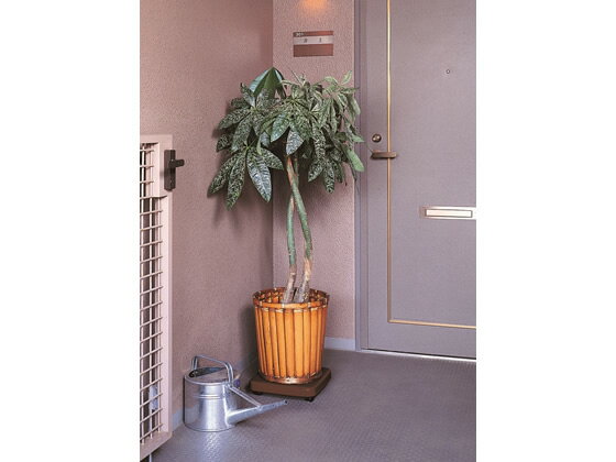 �ڥޥ饽������2000�ߥ����ݥ���ݥ����2�ܡۥ��󥳡��ץ饹���å� �饯���� M �Ѳٽ�20kg �������֥饦�� ������ʿ��� ��� �����ȥ�å� ���