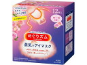 【レビュー投稿で100円OFFクーポン】KAO めぐりズム蒸気でホットアイマスク ローズの香り 12枚 温熱 温熱 冷却 メディカル