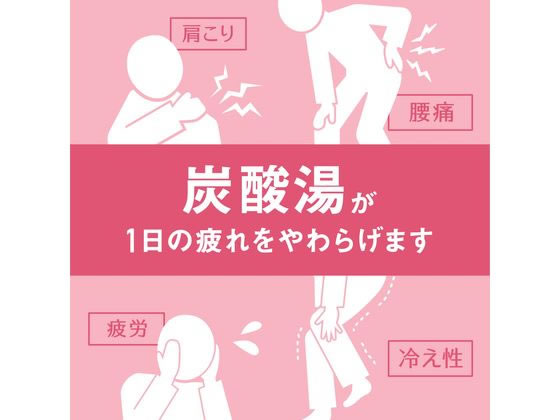 【楽天スーパーSALE限定★ポイント2倍＆2,000円クーポン】アース製薬 温泡 こだわり...