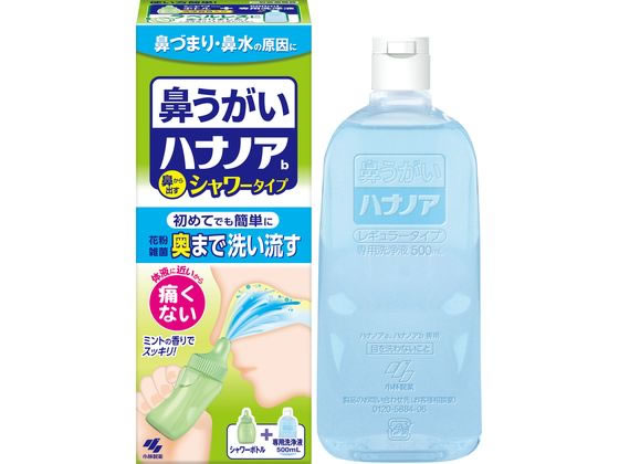 小林製薬 ハナノアシャワー 500mL 鼻 のど メディカル