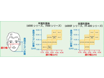 【お買い物マラソン期間中ポイント2倍】3M/防毒マスク 半面形面体 ミディアム 面体のみ/6000M