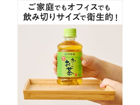 【レビュー投稿で100円OFFクーポン】 伊藤園 お〜いお茶 緑茶 280mL×48本 まとめ買...
