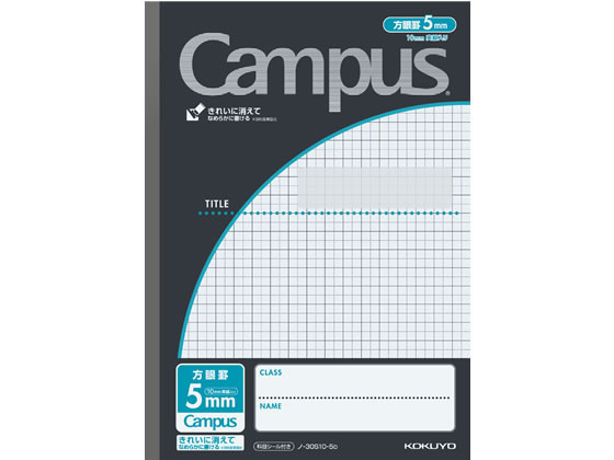 �ڳ�ŷ�����ѡ�SALE������ݥ����2�ܡ�2,000�ߥ����ݥ�ۥ����� �����ѥ��Ρ��������̥���B5 5mm���� 30�� �� ��-30S10-5D ������ ��...