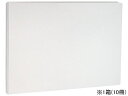 【店内全品ポイント2倍★16日9:59迄】 セキセイ のび~るファイル B5ヨコ 白 10冊 AE-41-70 背幅可変式 フラットファイル 紙製 レターファイ...