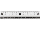【店内全品ポイント2倍★16日9:59迄】 レイメイ 見やすい白黒定規 10cm ホワイト APJ128W 定規 スケール 教材 学童用品