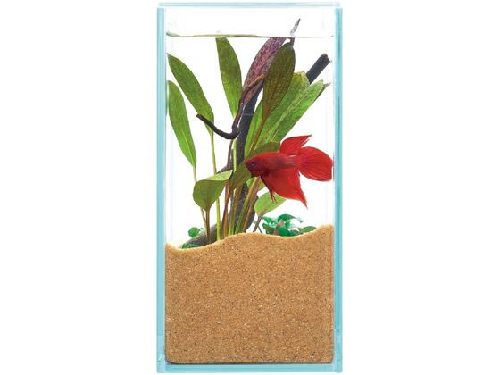 �ڥ�ӥ塼��Ƥ�100��OFF�����ݥ�ۡڤ����󤻡ۥ����å��� ���饹�ƥꥢ �ե��å� 200 ���� ������� ���å� �Ѿ޵� �ڥå� �������ꥦ��