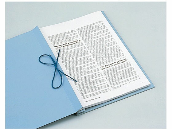 【ポイント2倍★24日20:00〜29日9:59迄】セキセイ のび〜るファイル(とじ紐式) A4タテ ブルー 10冊 背幅可変式 A4 フラットファイル 紙製 レターファイル 2