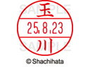 【ポイント2倍★19日20:00~26日1:59迄】【お取り寄せ】シヤチハタ データーネームEX15号 印面 玉川 XGL-15M-1442 タ データーネームEX15号 タ行 印面 氏名印 ネーム印 スタンプ