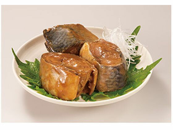 【レビュー投稿で100円OFFクーポン】 ニッスイ ニッスイ スルッとふた さばみそ煮 減塩30% 190g 缶詰 魚介類 食材 食品 cocodecow-10349071 ココデカウ サンプル画像2