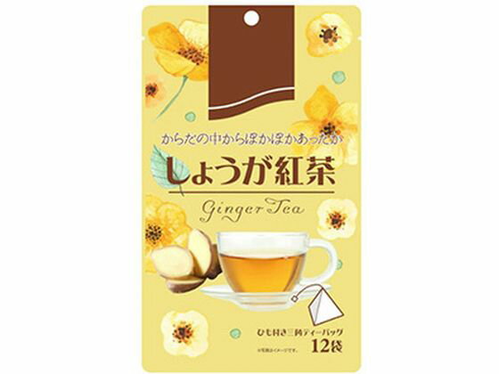 リブ・ラボラトリーズ しょうが紅茶 2g×12袋入 ティーバッグ 紅茶 ココア ミックス