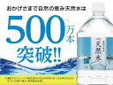 国産 ミネラルウォーター 自然の恵み 天然水 2L×12本 LDC ライフドリンクカンパニー 水 2リットル ミネラルウォーター 2l 水 2l 2リットル まとめ買い ケース買い 箱買い ミネラルウォーター 大容量 水 ストック 買い置き ローリングストック