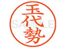 【ポイント2倍★19日20:00~26日1:59迄】【お取り寄せ】シヤチハタ XL-9(玉代勢) XL902212 タ ネーム9 タ行 ネーム印 直径9.5mm スタンプ