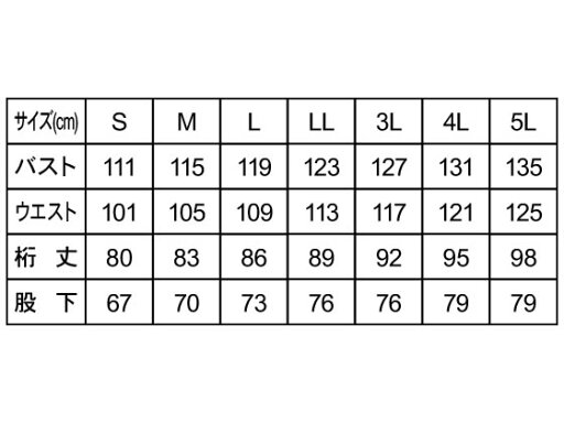 【お取り寄せ】ガードナー ADCLEAN クリーンスーツ ホワイト CJ1032-1-4L クリーンウェア クリーン対策 静電気対策