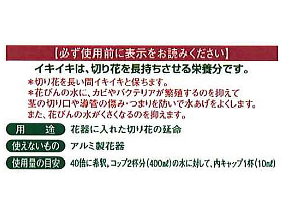 �ڥ�ӥ塼��Ƥ�100��OFF�����ݥ�ۥ��������� �����������ǥ� ���������ڲֱ�̿�� ���Ϻ� ���� ��� �����ǥ˥�