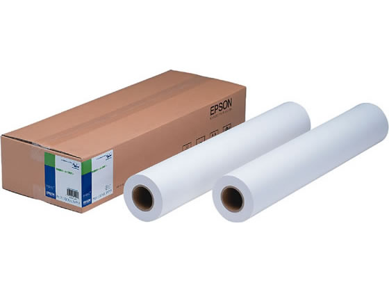 【レビュー投稿で100円OFFクーポン】エプソン 普通紙ロール〈薄手〉 420mm×50m 2本 EPPP64A2 まとめ買..