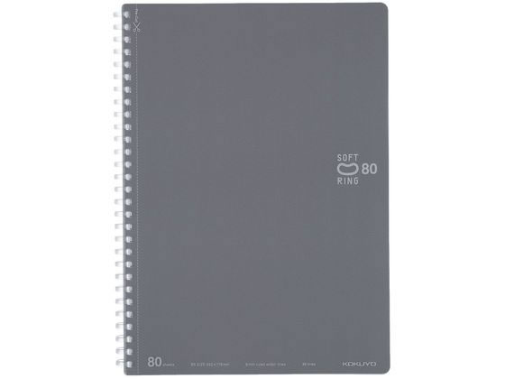 �ڳ�ŷ�����ѡ�SALE������ݥ����2�ܡ�2,000�ߥ����ݥ�ۥ����� ���եȥ�󥰥Ρ���(�ɥå�������)���åȥ��� ����B5 ���������졼 ����B5�Ρ���