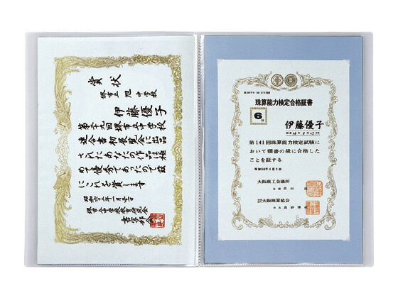 �ڥ�ӥ塼��Ƥ�100��OFF�����ݥ�ۥ������� �޾��ۥ���� A3 �֥롼 SSS-230-10 ɽ���� ��ǰ��ŵ�� ��ŵ