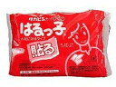 【お取り寄せ】タカビシ化学 はるっ子 ミニ 10個 カイロ メディカル
