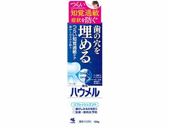 【マラソン限定2,000円クーポン＆11日9:59迄ポイント2倍】【お取り寄せ】小林製薬 薬用ハウメル 100g はみがき オーラルケアのサムネイル