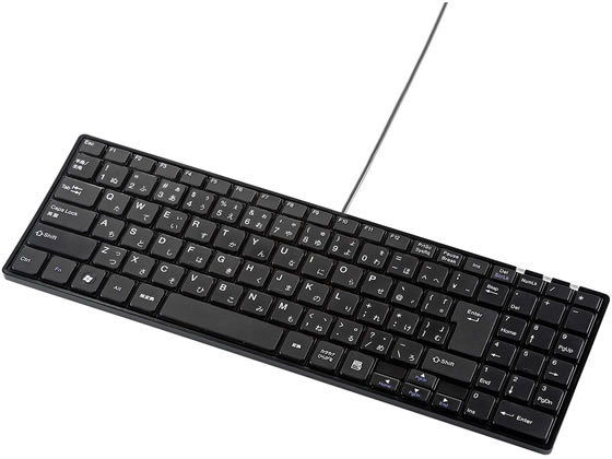 【ポイント2倍★24日20:00～29日9:59迄】サンワサプライ 静音スリムキーボード テンキー付き ブラック SKB-SL19BK キーボード マウス 入力機器 パソコン 家電