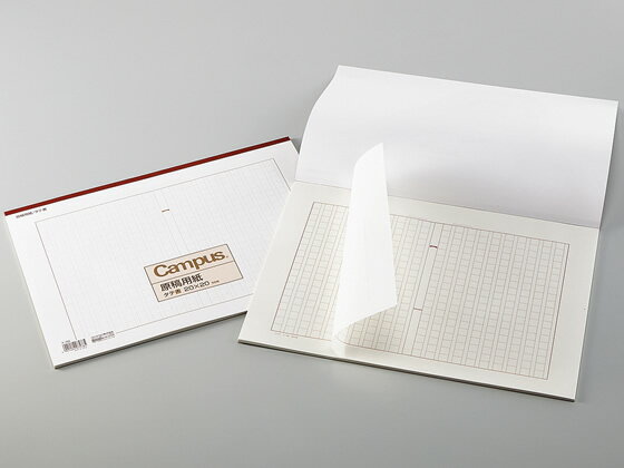 �ڥ�ӥ塼��Ƥ�100��OFF�����ݥ������̵���ڤ����󤻡ۥ����� �����ѻ� �Ľ� B4 ����20x20 50�� 60�� ��-60 �����ѻ� ��̳�ѥڡ��ѡ� �Ρ���