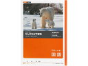 【ポイント10%バック★30日9:59迄】キョクトウ かんがえる学習帳 B5 国語15行 10mm L11R 国語 こくご 学習帳 ノート