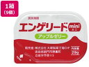 【マラソン限定クーポン★11日9:59迄ポイント2倍】【お取り寄せ】大塚製薬 エンゲリード ミニ アップル 29g×9個 介護食 介護 介助