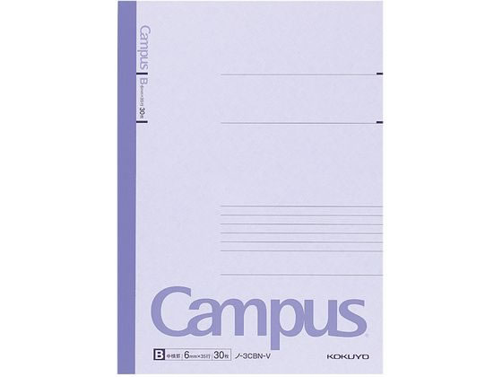 ڥӥ塼Ƥ100OFFݥۥ ѥΡ B5 B 顼ɽ  30 -3CBN-V A 7mm B5Ρ