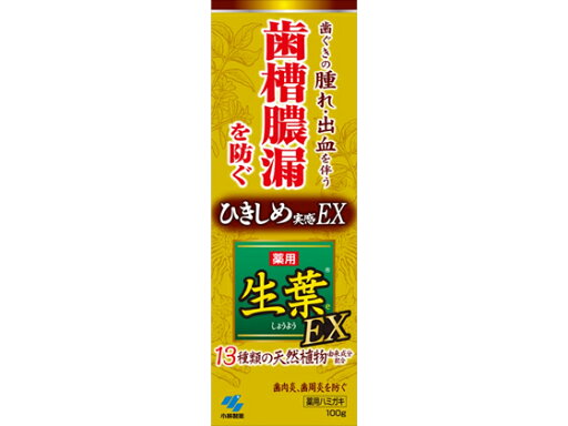 【ポイント2倍★19日20:00〜26日1:59迄】小林製薬 生葉EX100g はみがき オーラルケア 【ポイント2倍★19日20:00〜26日1:59迄】小林製薬 生葉EX100g はみがき オーラルケア