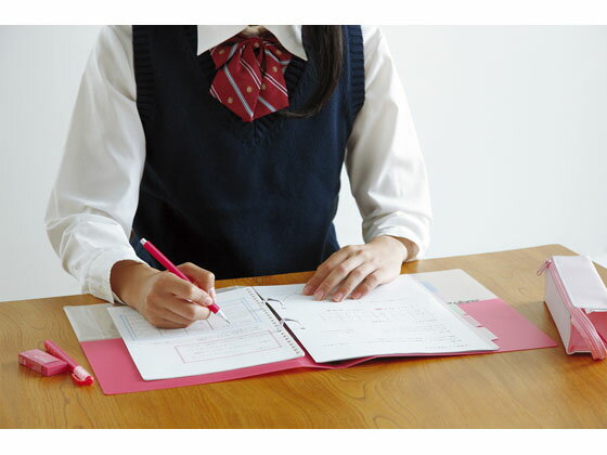 �ڥ�ӥ塼��Ƥ�100��OFF�����ݥ�ۥ����� �����ѥ��롼���꡼�եХ������ A4 2�� �ԥ� ��-PP158P �Х�������Ρ��� A4 �Х������ �Ρ���