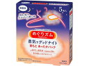 KAO めぐりズム 蒸気でグッドナイト 無香料 5枚 温熱 温熱 冷却 メディカル
