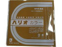 【レビュー投稿で100円OFFクーポン】オキナ 単色折紙 おうど 100枚 HPP11 折り紙 図画 工作 教材 学童