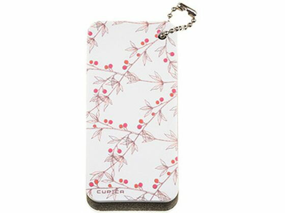 【マラソン限定2,000円OFFクーポン★4日20:00〜11日9:59迄ポイント2倍】【お取り寄せ】アリーナ キュピカ! キノミB 1個 耳掻き、ツメキリ 救急箱 メディカル