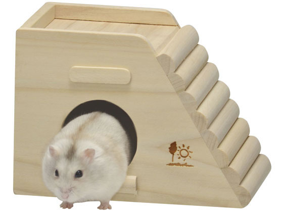 �ڥ�ӥ塼��Ƥ�100��OFF�����ݥ�ۡڤ����󤻡ۻ������� ���ռ��ϥ��� �������� H22 ������ ����꡼ ��ưʪ �ڥå� ������ �ϥॹ����