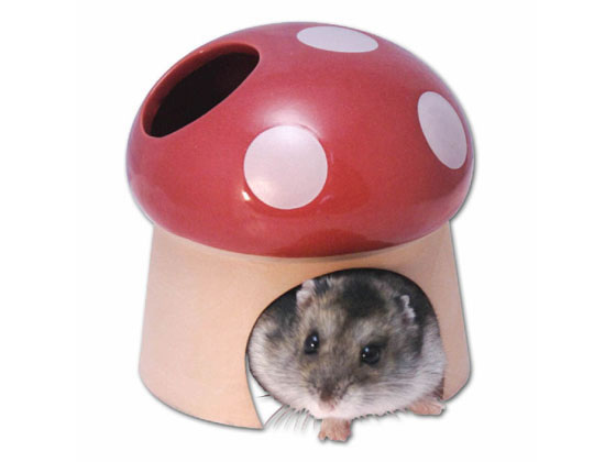 �ڥ�ӥ塼��Ƥ�100��OFF�����ݥ�ۡڤ����󤻡ۻ������� �ǾƤ��ϥ��� ���Τ� 539 ������ ����꡼ ��ưʪ �ڥå� ������ �ϥॹ����