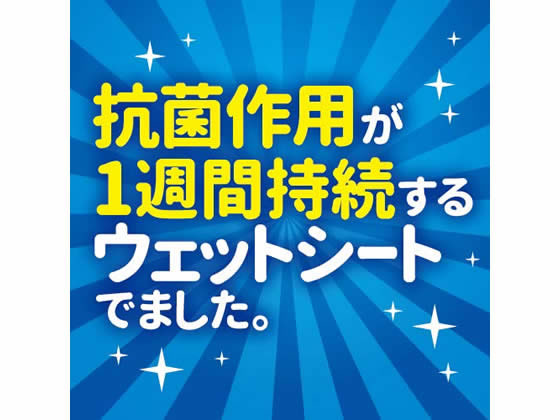 エーザイ イータック 抗菌化 ウエットシート 10枚 3