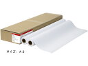 【マラソン限定★2000円クーポン&ポイント2倍】キヤノン LFM-PPS2 A2 64 スタンダード普通紙2 2本 8738B006 まとめ買い 業務用 箱売り 箱買い ケース買い ロールタイプ コピー用紙