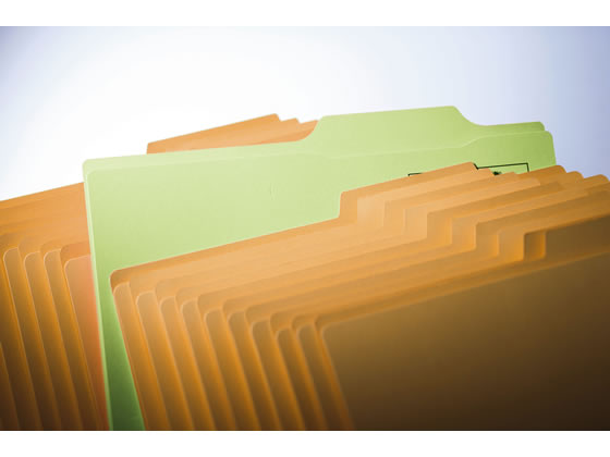 【レビュー投稿で100円OFFクーポン】ライオン 個別フォルダーゆるやか見出し A4 黄 10枚 A4 1山見出し 紙製 個別フォルダー ファイル