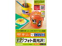 【お取り寄せ】エレコム フリーカットラベル フォト光沢 ハガキサイズ 10枚 EDT-FHKK ノーカット マルチプリンタ対応ラベルシール 粘着ラベル用紙