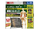 【お取り寄せ】興和 バンテリンコーワサポーター 腰椎コルセット 大きめL サポーター メディカル(4)