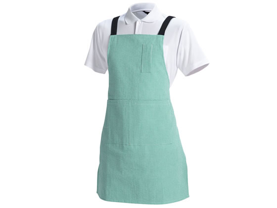 【マラソン限定★2000円クーポン＆ポイント2倍】【お取り寄せ】ギンガムチェックエプロン グリーン F CR..