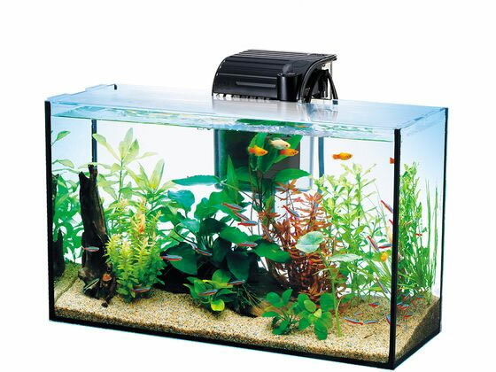 �ڥ�ӥ塼��Ƥ�100��OFF�����ݥ�ۡڤ����󤻡ۥ��ڥ��ȥ��֥�󥺥���ѥ� �ƥȥ� �����륰�饹�������ꥦ�� 420 ���� ������� ���å� �Ѿ޵� �ڥå� �������ꥦ��