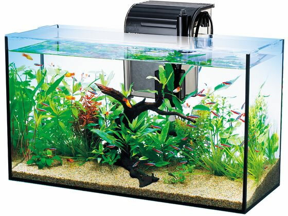 �ڥ�ӥ塼��Ƥ�100��OFF�����ݥ�ۡڤ����󤻡ۥ��ڥ��ȥ��֥�󥺥���ѥ� �ƥȥ� �����륰�饹�������ꥦ�� 520 ���� ������� ���å� �Ѿ޵� �ڥå� �������ꥦ��