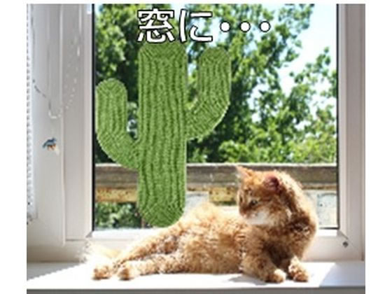 �ڥ�ӥ塼��Ƥ�100��OFF�����ݥ�ۡڤ����󤻡ۥڥåȥ��� �ޤȤ����ܥƥ� ����Ž�դ������� ǭ�ޤȤ� ���᤭ ǭ ����å��� �ڥå� ������ ���襰�å� �ڥåȥϥ���